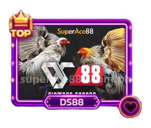 Eksklusibong Cock Fighting Action: DS88 Sabong sa SuperAce88